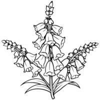 Foxglove Flower Bouquet outline illustration coloring book page design, Foxglove Flower Bouquet black and white line art drawing coloring book pages for children and adults vector