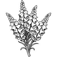 Foxglove Flower Bouquet outline illustration coloring book page design, Foxglove Flower Bouquet black and white line art drawing coloring book pages for children and adults vector