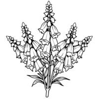 Foxglove Flower Bouquet outline illustration coloring book page design, Foxglove Flower Bouquet black and white line art drawing coloring book pages for children and adults vector