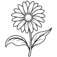 Daisy flower plant outline illustration coloring book page design, Daisy flower plant black and white line art drawing coloring book pages for children and adults vector