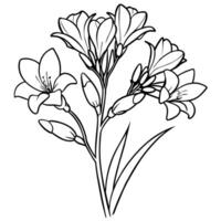 fresia flor planta contorno ilustración colorante libro página diseño, fresia flor planta negro y blanco línea Arte dibujo colorante libro paginas para niños y adultos vector