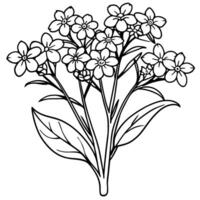 Forget Me Not Flower Bouquet outline illustration coloring book page design, Forget Me Not Flower Bouquet black and white line art drawing coloring book pages for children and adults vector