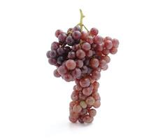 fresh red grapes isolated on a white background photo