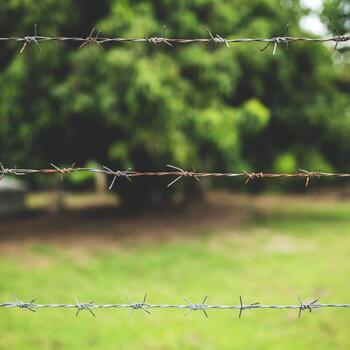 de cerca Disparo de mordaz cable cerca con verde borroso antecedentes. proteccion concepto foto