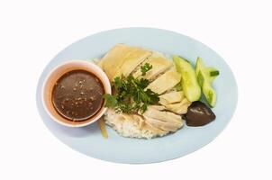 steamed rice topped with chicken. Chopped boiled chicken is placed on steamed rice topped with spring onions and served with a cup of sauce. photo