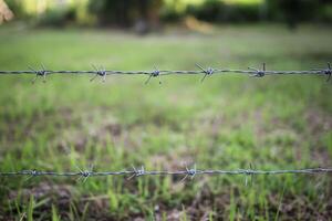Close-up shot of barbed wire fence with green blurred background. protection concept photo