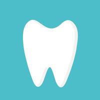 Healthy clean white tooth with shadow in flat vector