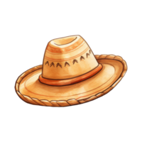 fatto a mano cannuccia sombrero con largo orlo png