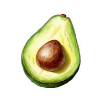 Watercolor Painting of Fresh Avocados png