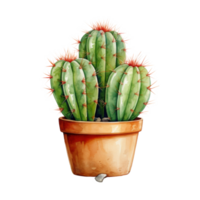 cactus para hogar y jardín png