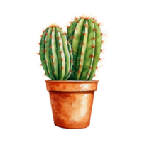 cactus para hogar y jardín png