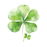 Elegant Watercolor Shamrocks png