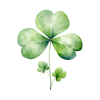 elegant vattenfärg shamrocks png