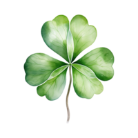 Elegant Watercolor Shamrocks png