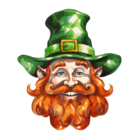 Whimsical Leprechaun Cartoons png