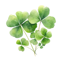 Elegant Watercolor Shamrocks png