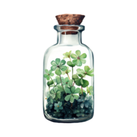 Festive Glass Bottles with Clovers Inside png