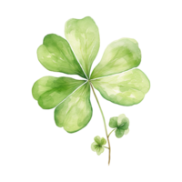 Elegant Watercolor Shamrocks png