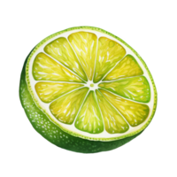 A Fresh Lime Wedge Garnish png