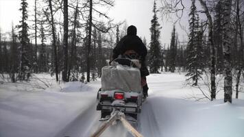 män ridning en snöskoter genom en vinter- skog video