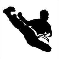 karate silhouette logo icon vector