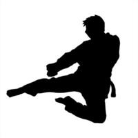 karate silhouette logo icon vector