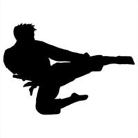 karate silhouette logo icon vector