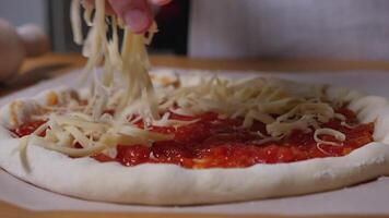 mani siamo spargendo grattugiato formaggio su Pizza pensato. fatti in casa formaggio Pizza con pomodoro salsa. preparare tradizione italiano Pizza a casa. avvicinamento . video