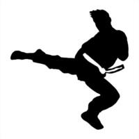 karate silhouette logo icon vector