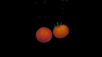 Tomatoes in slow motion floating in water video