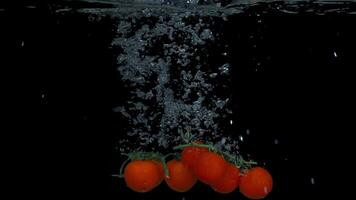 Cherry tomatoes falling in water on a black background video