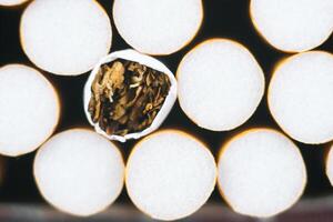 Close up tobacco cigarette background or texture. Heap of tobacco cigarettes close up from the front photo