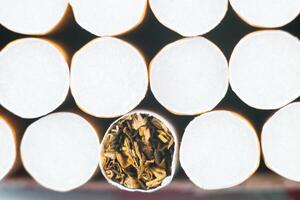 Close up tobacco cigarette background or texture. Heap of tobacco cigarettes close up from the front photo
