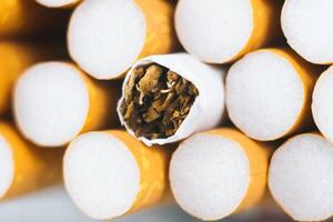 Close up tobacco cigarette background or texture. Cigarettes. Tobacco product photo