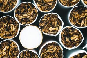 Close up tobacco cigarette background or texture. Cigarettes. Tobacco product photo