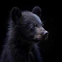 un negro oso cachorro es curioso a el cámara foto