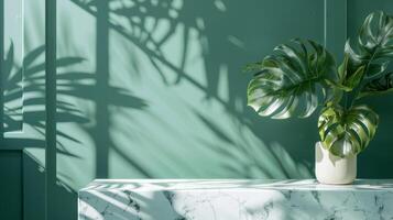 A large leafy plant sits on a marble countertop, casting a shadow on the wall photo