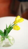 Bouquet of yellow tulips in a transparent glass vase stand on a white table video