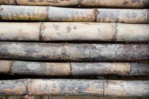 bamboo texture background photo