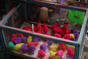 Photos of colorful chicks are actually ordinary chicks that are given chemical colors and sold as ornamental chickens and often cause disease