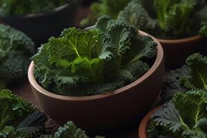 Fresco verde y púrpura col rizada plantas en mármol, orgánico vegetales foto