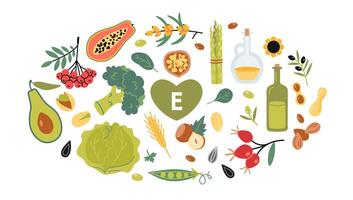 Set with Best sources of vitamin E foods, cartoon style. Fruits, vegetables, nuts, berries and oil. Isolated illustration, hand drawn, flat design vector