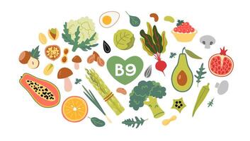 Best sources of vitamin B9 foods, cartoon style. Fruits, vegetables and nuts set. Isolated illustration, hand drawn, flat design vector