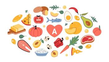 Set with Best sources of vitamin A foods, cartoon style. Fruits, vegetables, fish, meat, dairy products and eggs. Isolated illustration, hand drawn, flat design vector