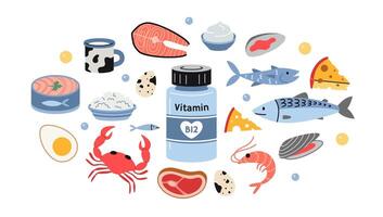 A jar of vitamin B12 and foods enriched with it. Sea food, fish, meat, dairy products and eggs set. Isolated illustration, hand drawn, fla vector