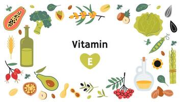 Frame with Best sources of vitamin E foods, cartoon style. Fruits, vegetables, nuts, berries and oil. Isolated illustration, hand drawn, flat design vector