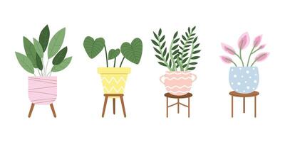 Houseplants in pots. Potted plants for home. Illustration with white isolated background. vector