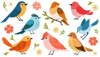 Spring birds set. Different beautiful birdie with flowers and branch. cartoon illustration in childish style isolated on white. vector