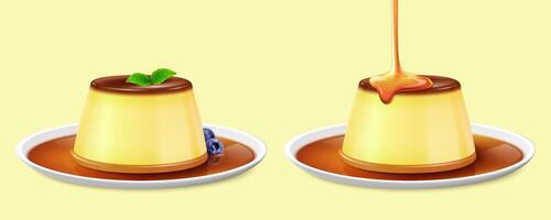 Two custard puddings on plates isolated on yellow background. One with topped mint leaves and served with blueberries, and the other drizzled with caramel syrup vector