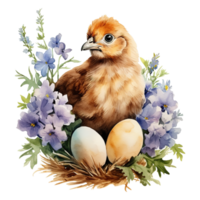 Charming Watercolor Chickens png